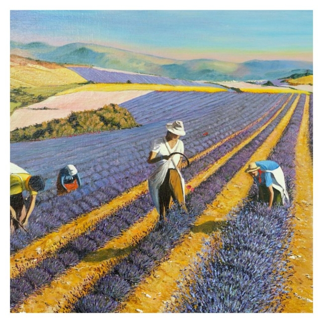 Les cueilleurs de lavande